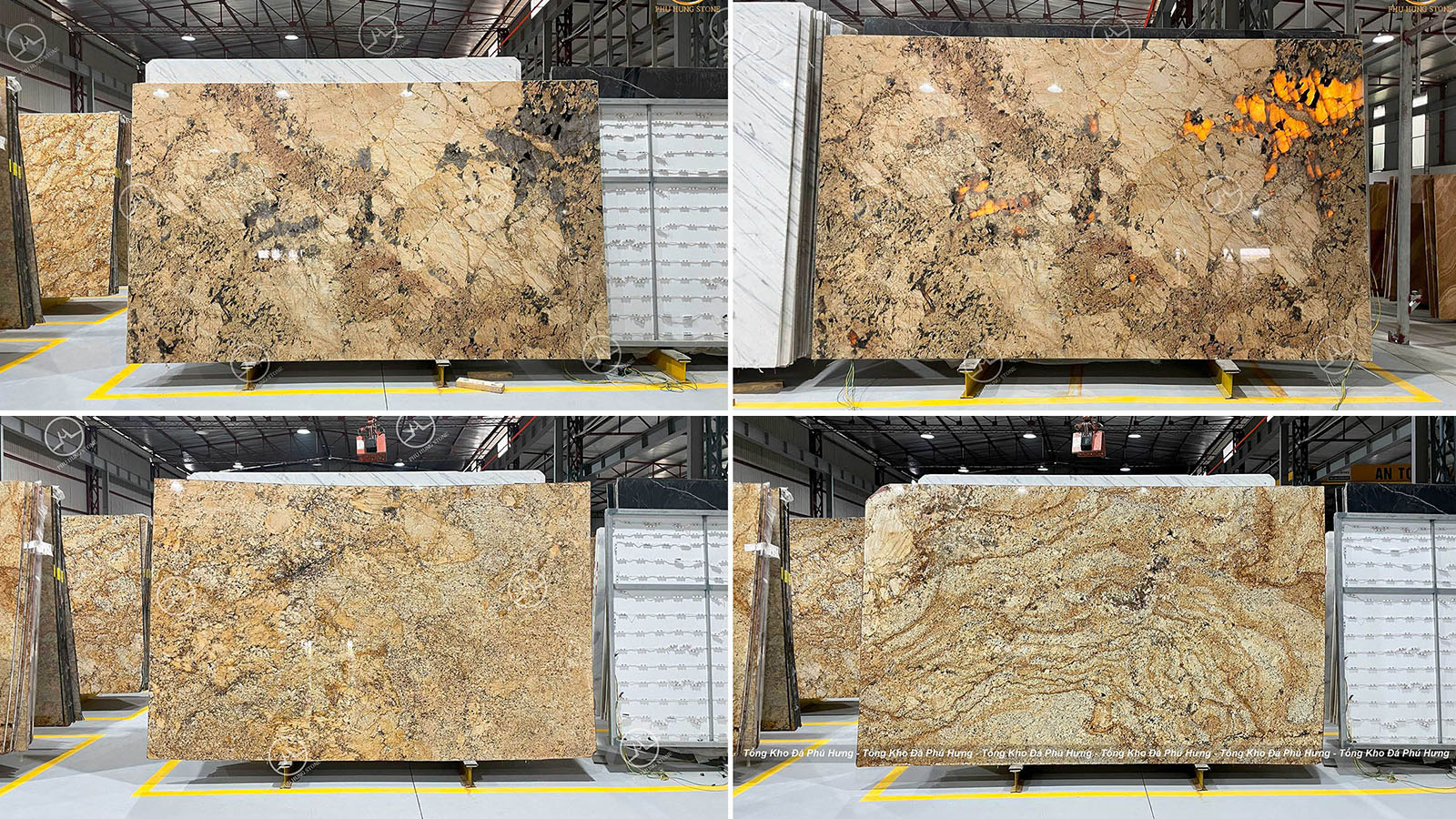 Hình ảnh Các mẫu đá granite vàng quý phái