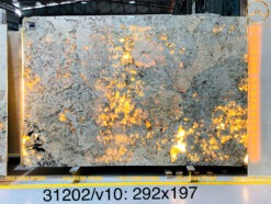 Hình ảnh Đá Granite Alpinus White 7 xuyên sáng ấn tượng