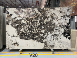 Hình ảnh Đá Granite Swiss Alps 05 tone nền trắng vân đen