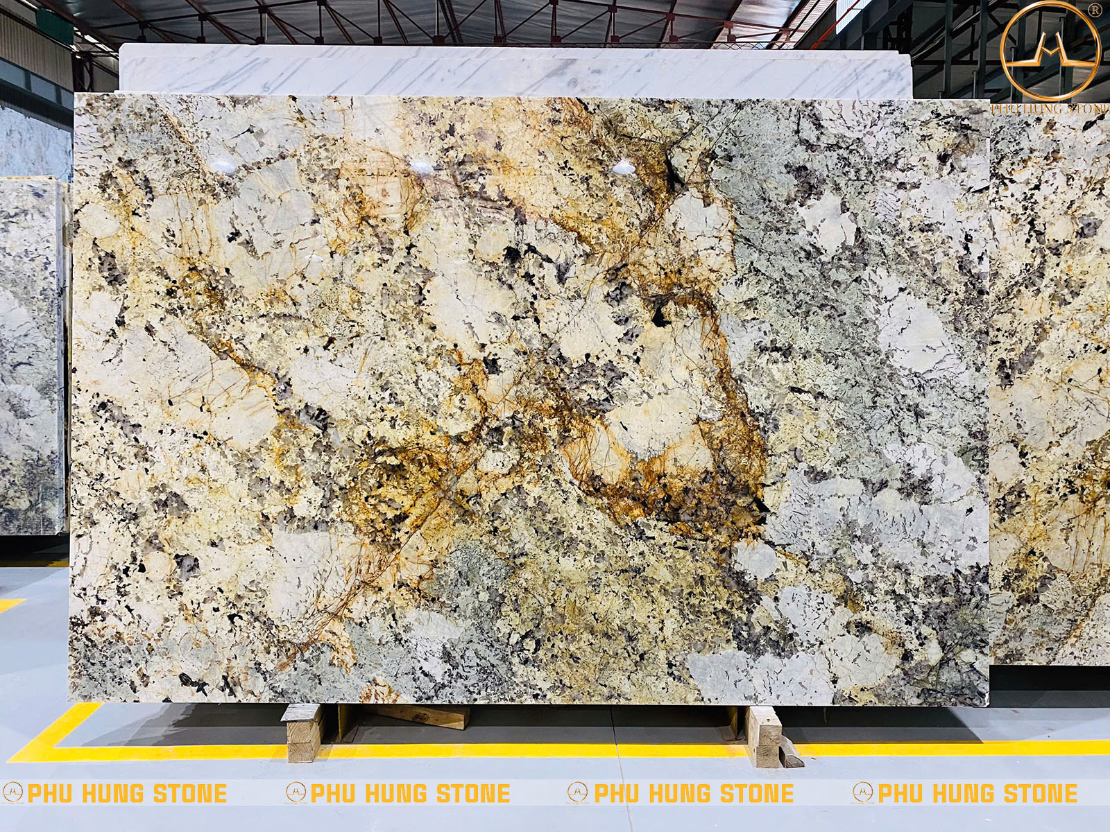 Hình ảnh Mẫu đá Granite Alpinus White 8 kích thước khổ lớn