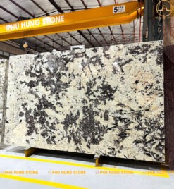 Hình ảnh Mẫu đá Granite Lông Công Vàng hệ vân độc đáo