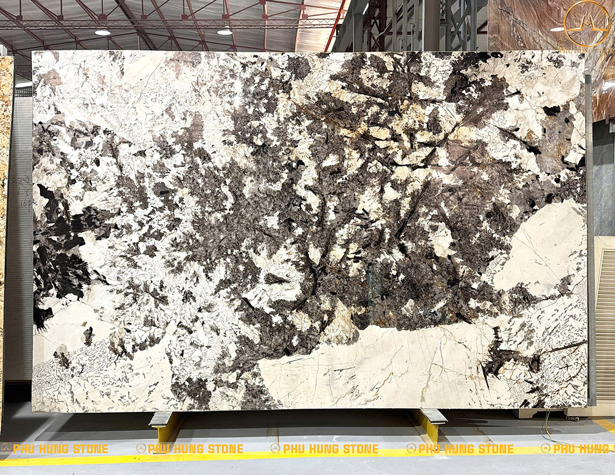 Hình ảnh Mẫu Đá Granite Swiss Alps 01 tone màu trắng đen