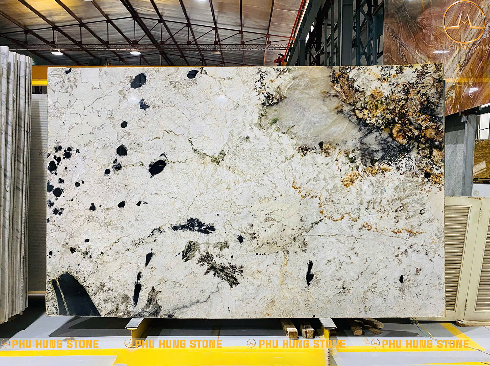 Hình ảnh Mẫu Granite Alpinus White 1 đẹp hiện đại